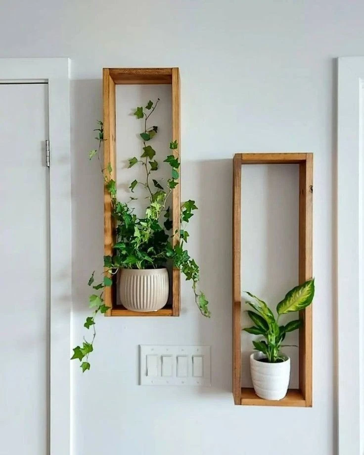 Shelves